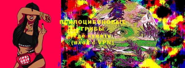мяу мяу мука Мегион