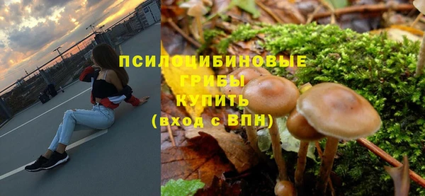 соль курить ск Медвежьегорск