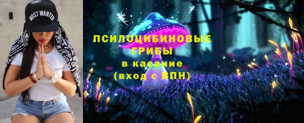 соль курить ск Медвежьегорск