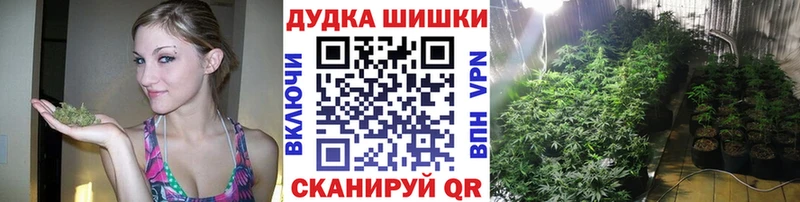 МАРИХУАНА план  Купить где  Липки 